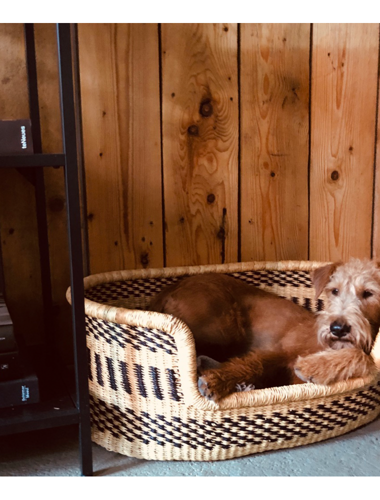 DOG BED S BY THE BABA TREE BASKET COMPANY